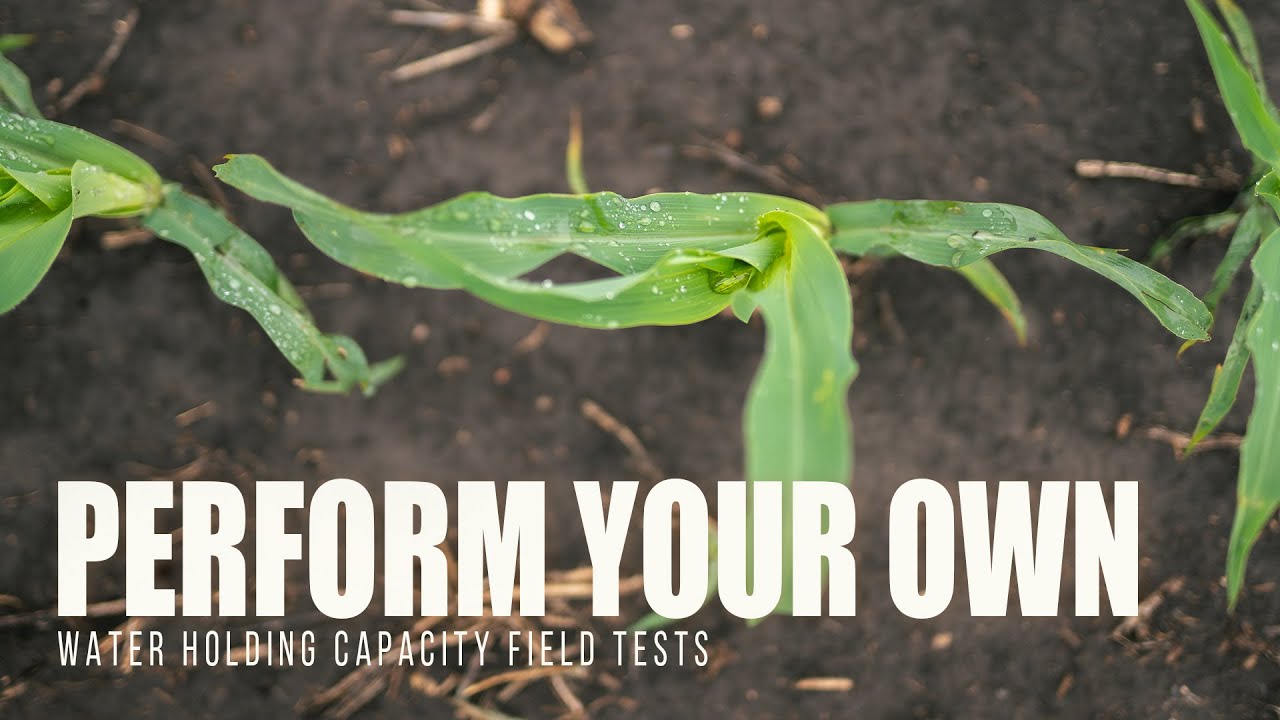 How to Perform Your Own Water Holding Capacity Test WITH RESULTS!!