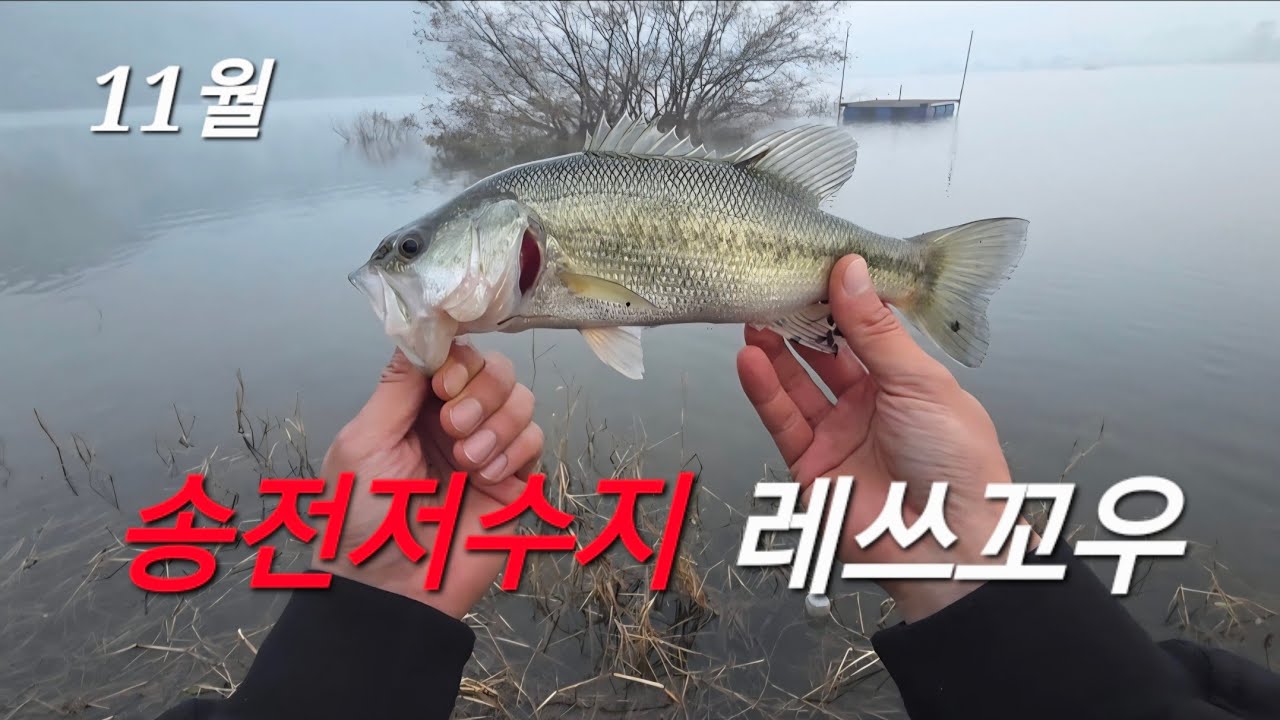 송전저수지 추울땐 미노우지!!