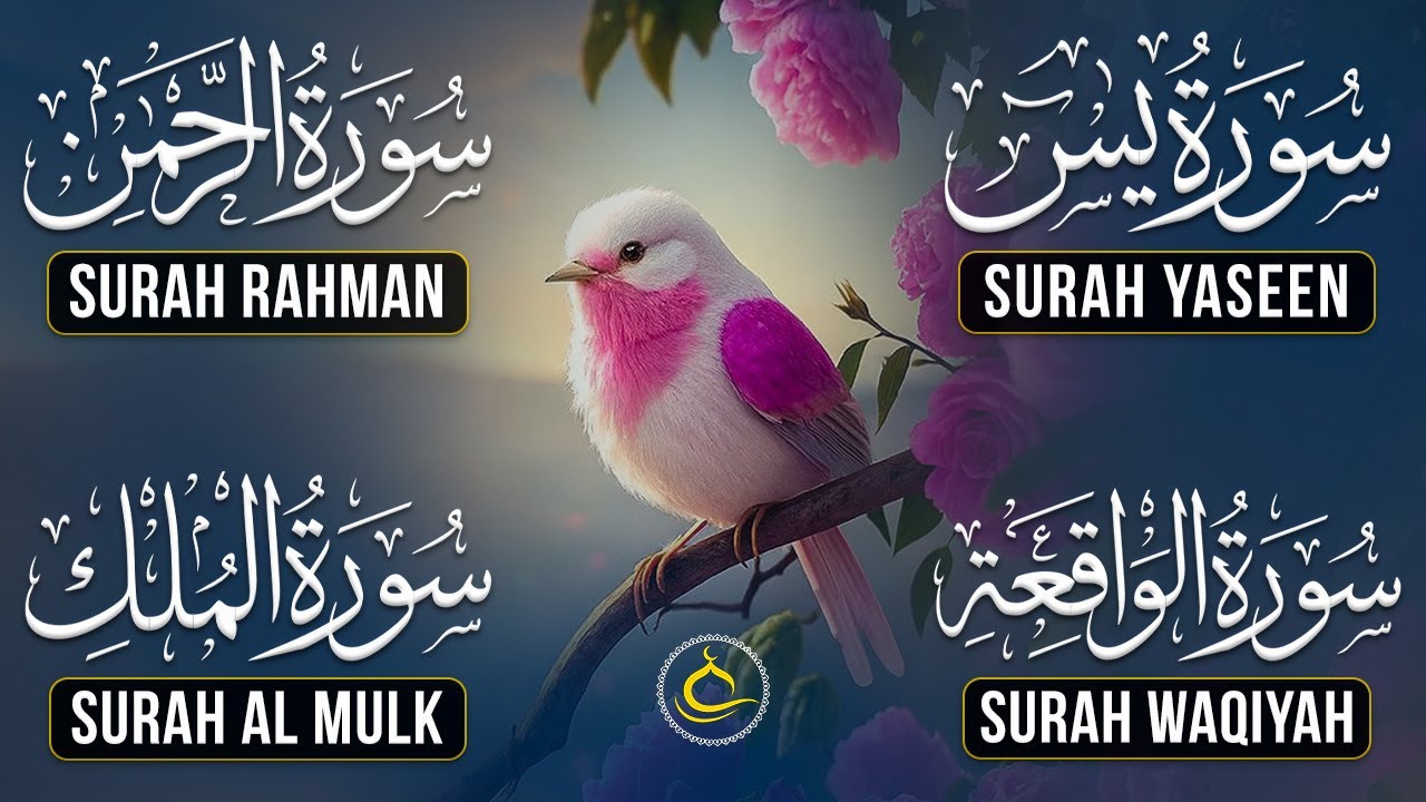 Beautiful Surah Yaseen (Yasin) | Surah Rahman | Surah Waqiah | Surah Mulk | Calmig Voice