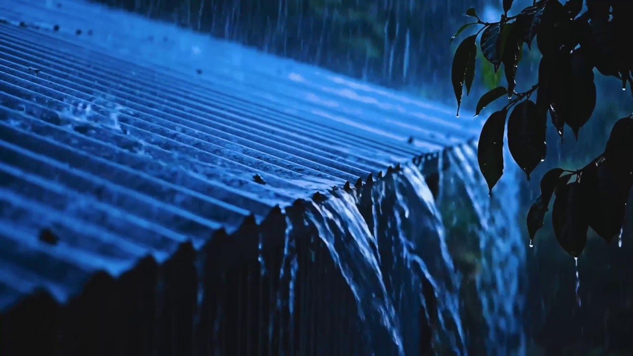 Soft Night Rain ASMR for Sleep | Calm Raindrops in the Dark to Ease Stress and Quiet Thoughts 282