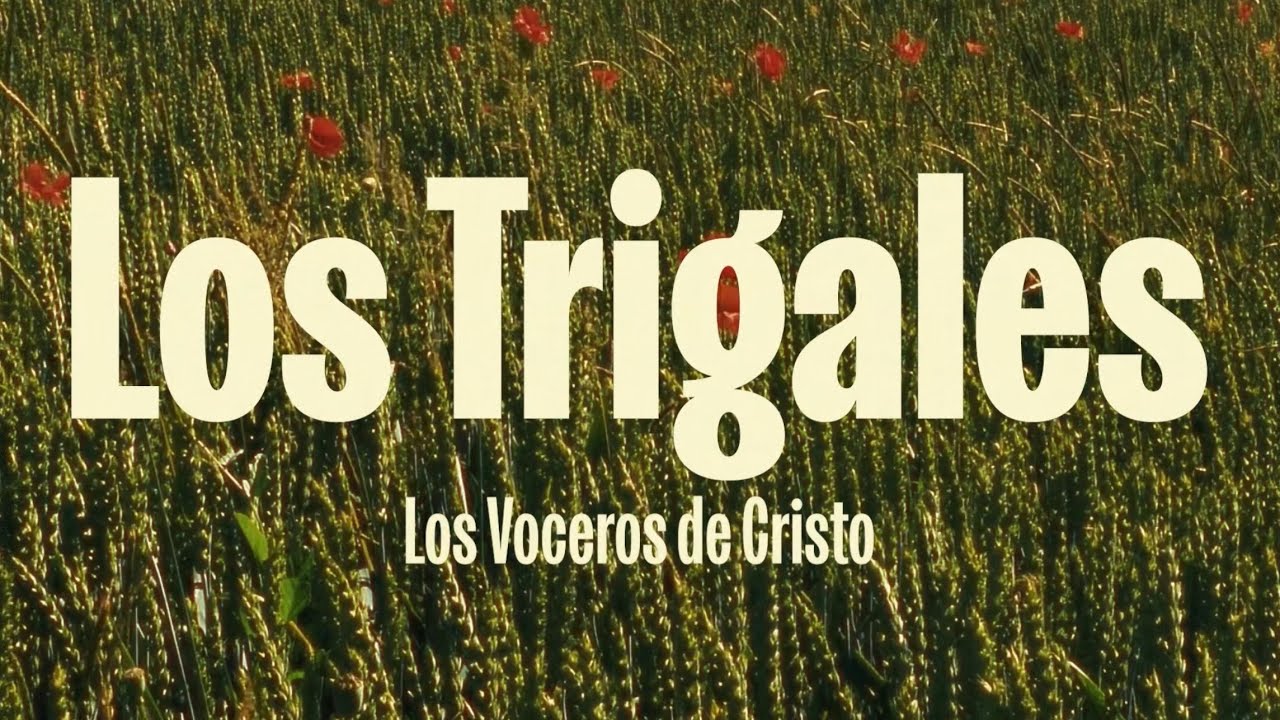 Los Trigales - Los Voceros de Cristo (Lyric Video)