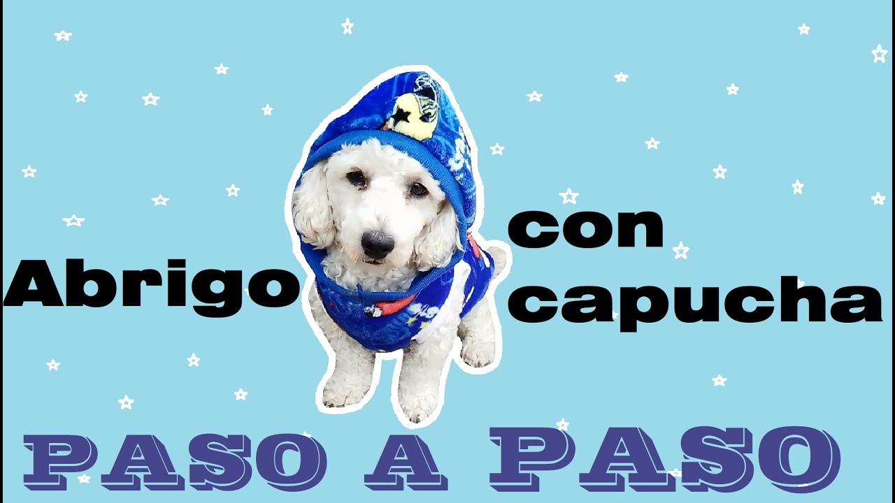 ABRIGO CON CAPUCHA PARA PERRO más MOLDE - Paso a paso - Mi planeta de ideas