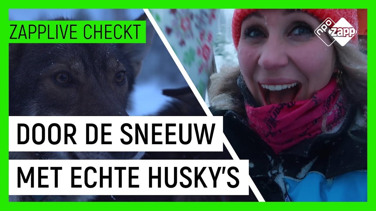 KAN SASKIA DE KERSTMAN VERVANGEN? #1 | Zapplive Checkt in Lapland | NPO Zapp
