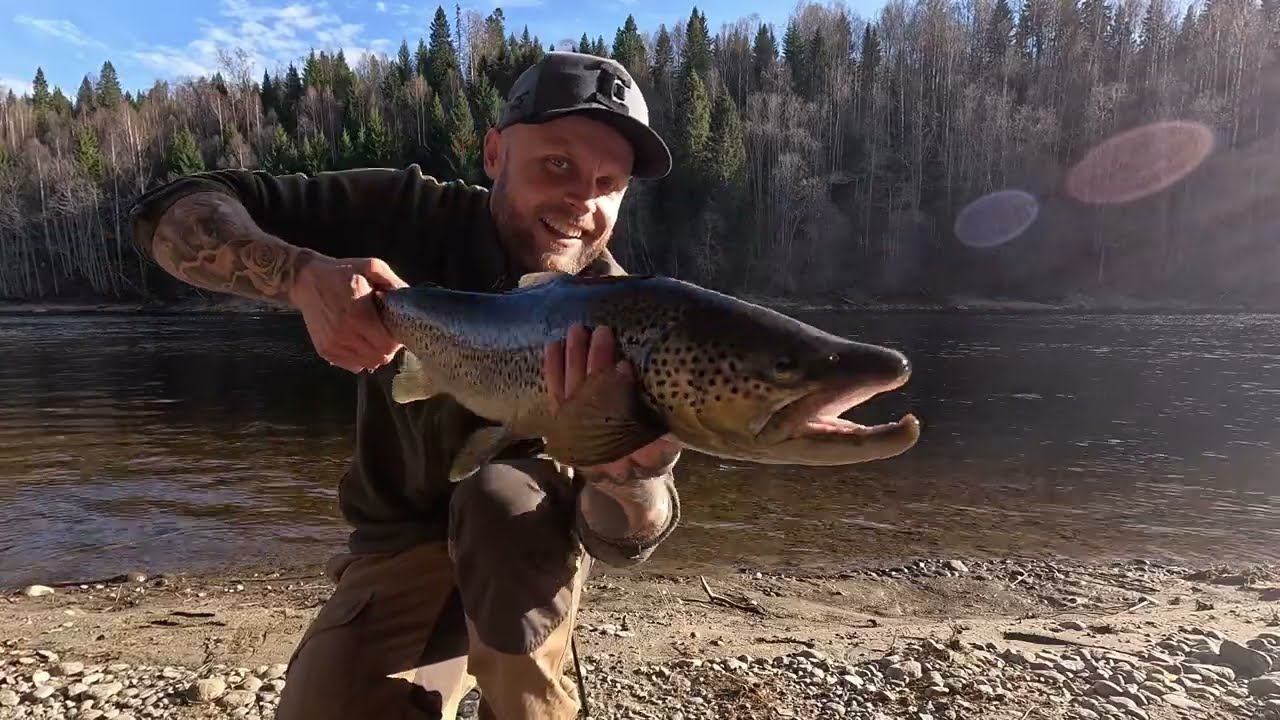 HAVSÖRING & RYGGBIFF I LJUNGAN