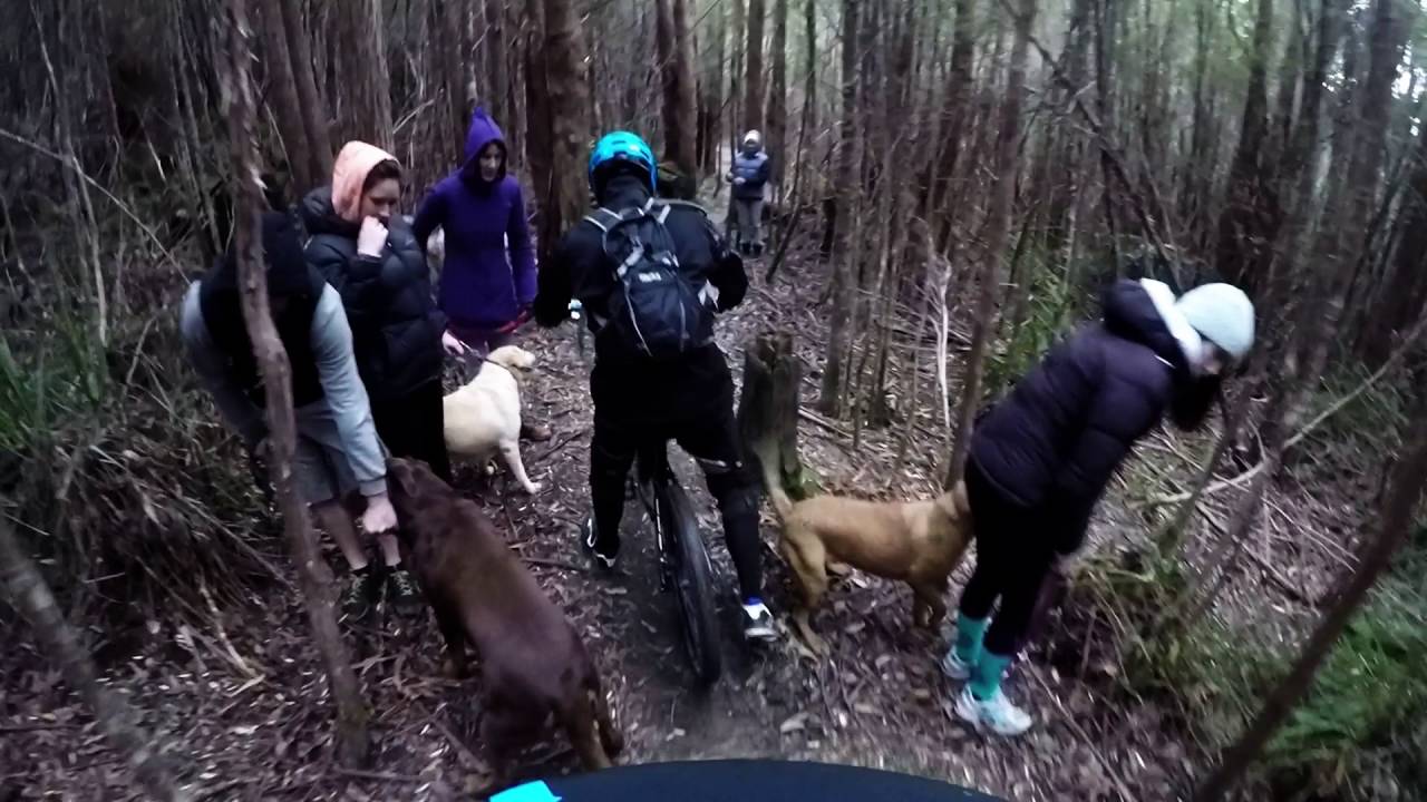 North South Track, Springs to Trail Split