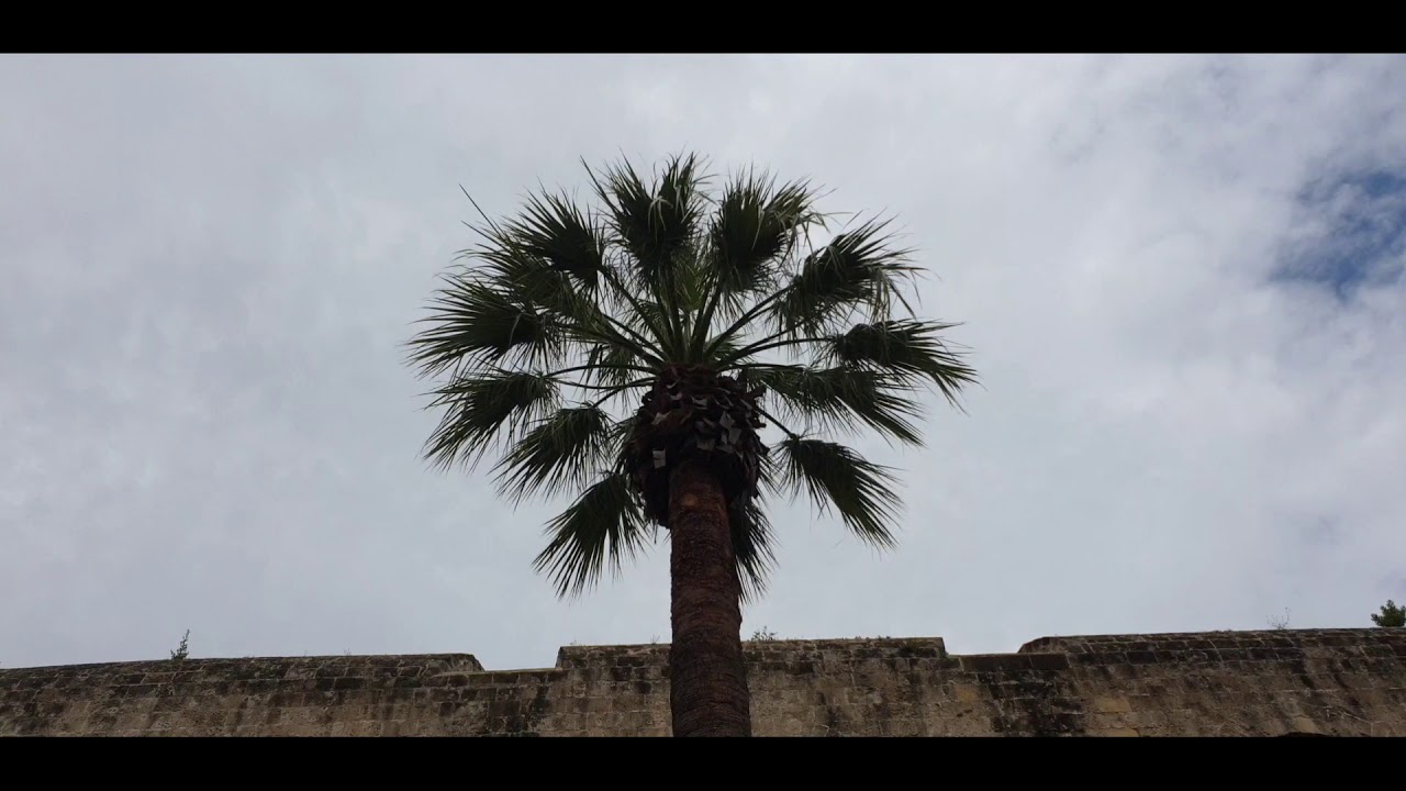Travel to Bari, Castello Normanno-Svevo