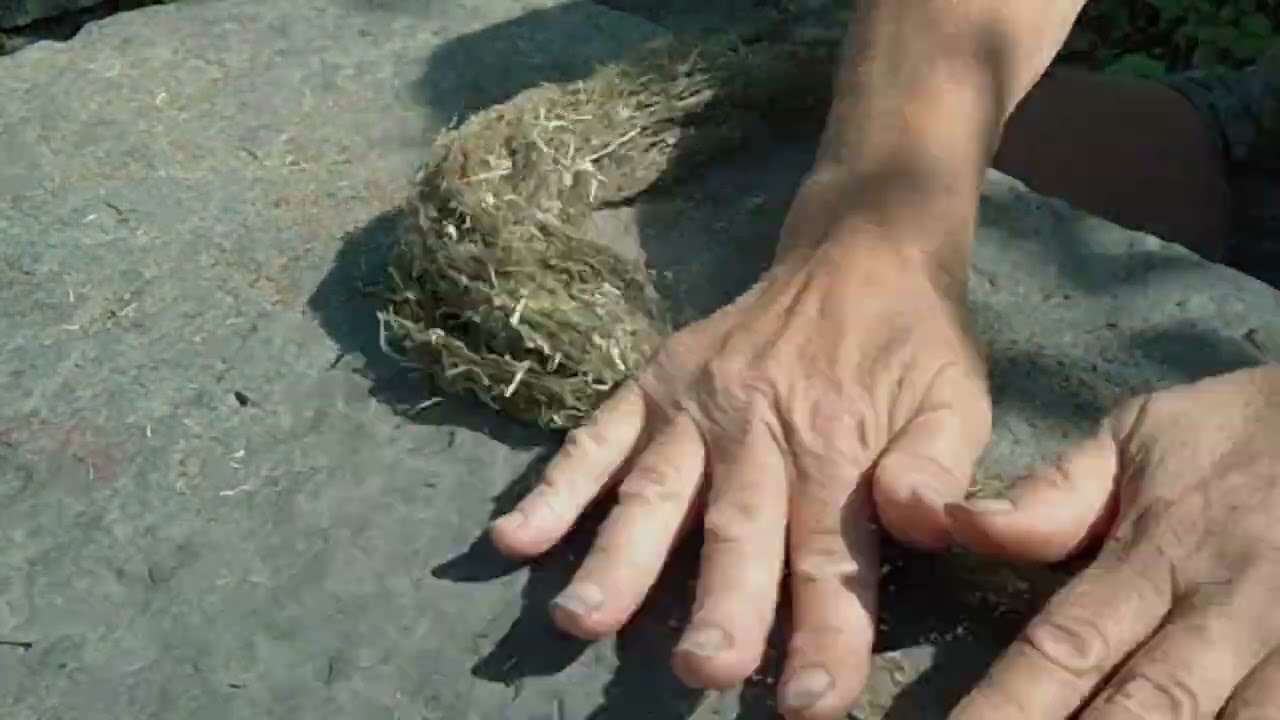 scraping the Nettles 2