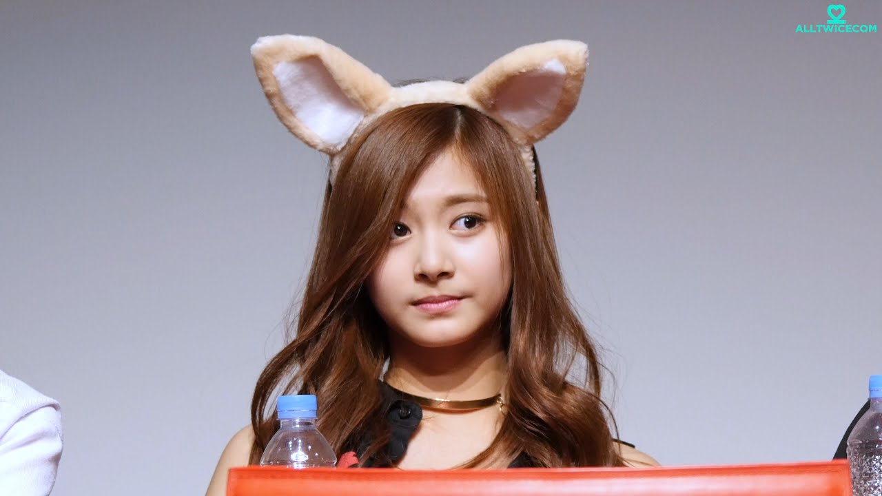 트와이스(TWICE) 팬싸인회 쯔위(TZUYU) 직캠