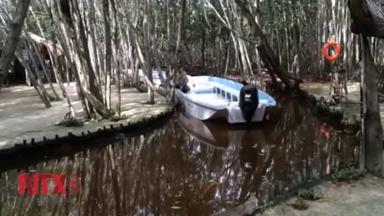 'EL CORCHITO' PARADOR ECOTUR&Iacute;STICO EN YUCAT&Aacute;N
