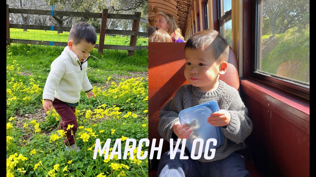 March vlog (ice cream flight, feeding flamingos and riding a diesel train)