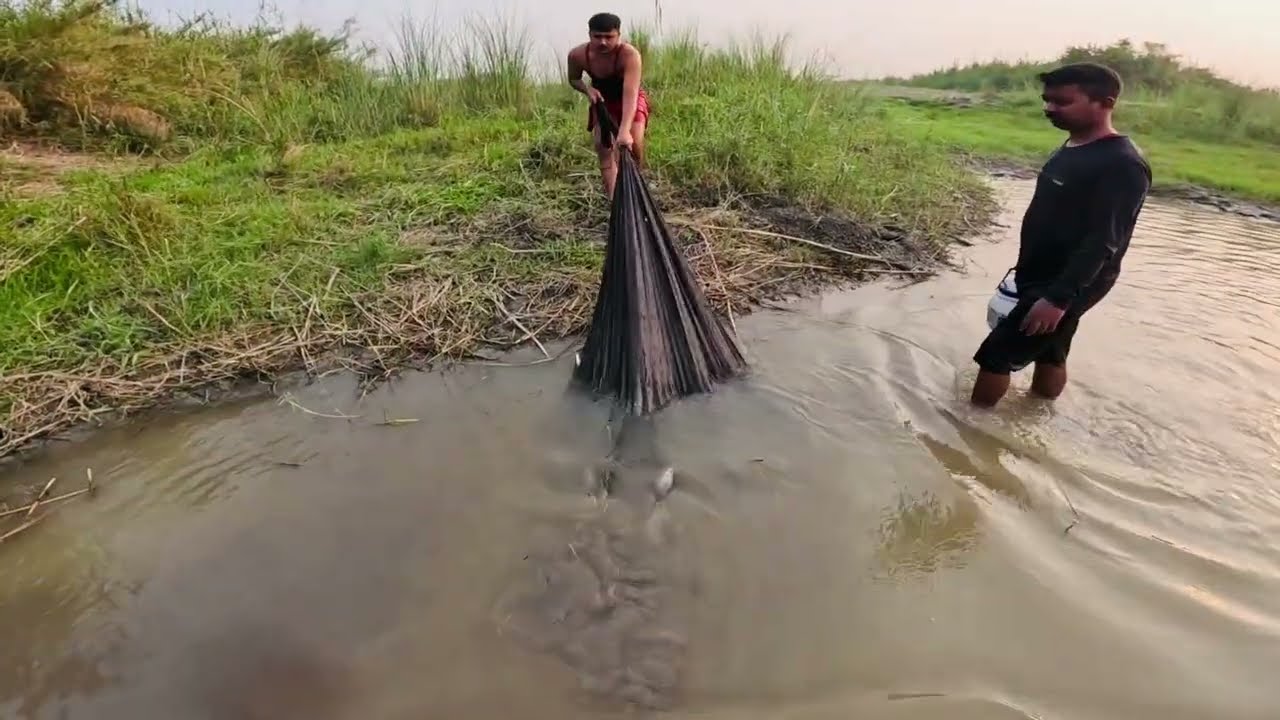 Throwing Cast Net Catching Lot of Fish 🐠🐬| Unbelievable Cast Net Fishing