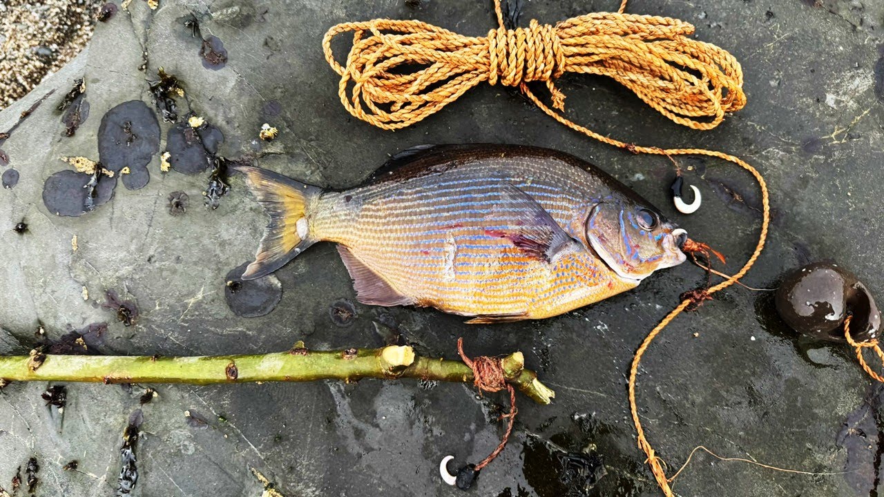 Catching Fish with Stone Tools: Catch & Cook!
