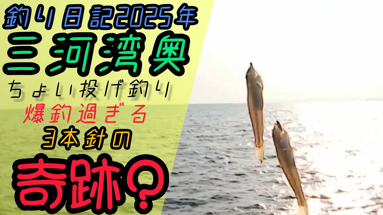 【三河湾】夕方満潮の釣行　チョイ投げ３本針の奇跡
