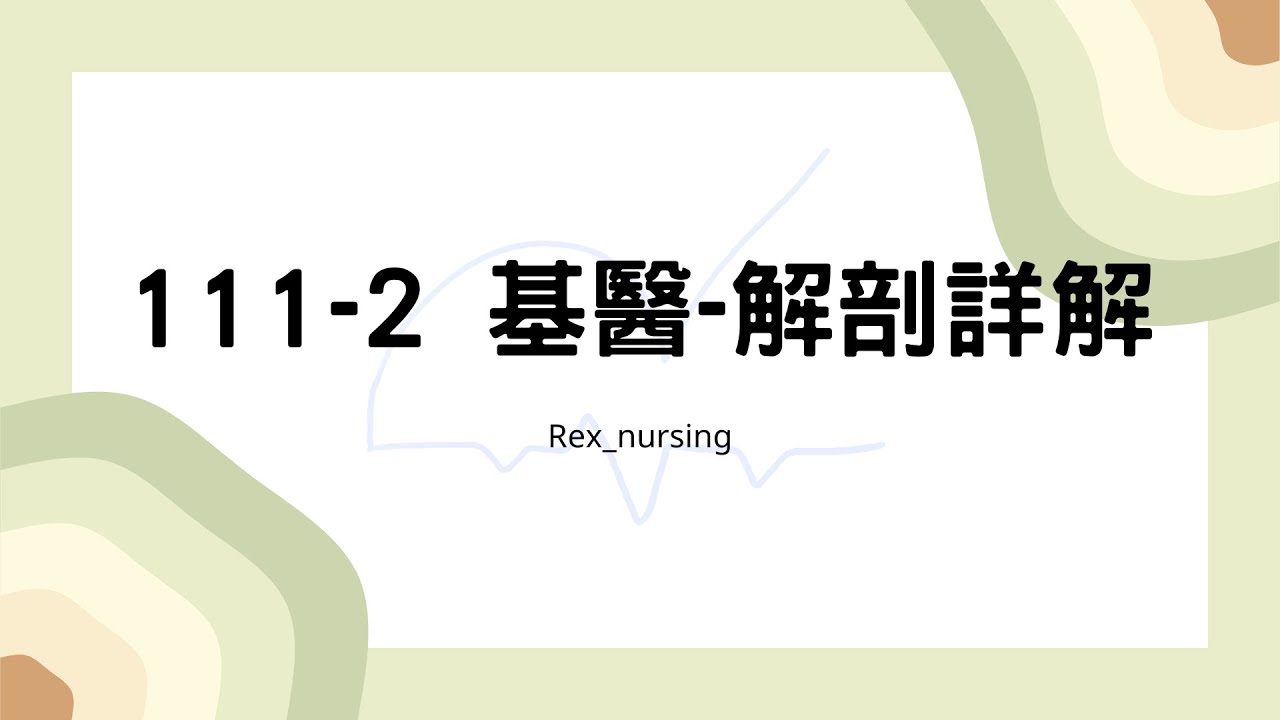 Rex Nursing l 護理日記 #52 111-2基醫-解剖詳解 (111/7月護理師國考)