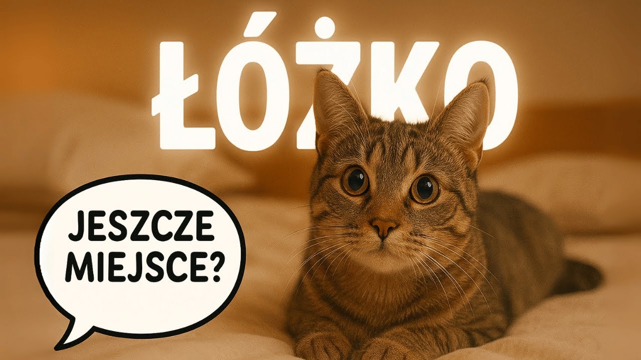 Dlaczego koty powinny zawsze spać z nami w łóżku