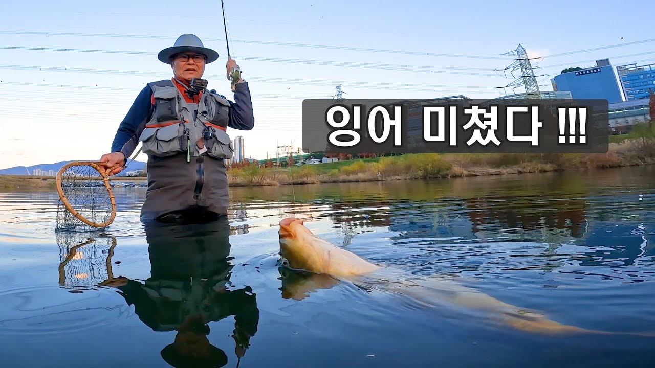 2024 fly fishing EP12 - 엄청난 잉어를 한눈에 보다 . (Carp On The Fly 잉어 플라이 낚시)