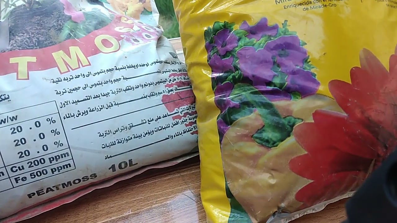 بتموس جذوع النخل