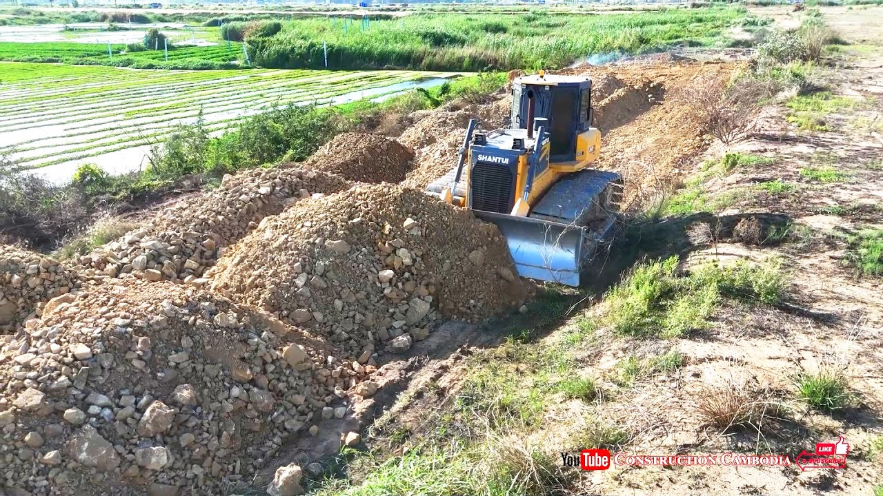 Powerful Teamwork! Shantui DH17C3 Bulldozer & Hyundai 24ton Dump Truck Finish Land Filling Job
