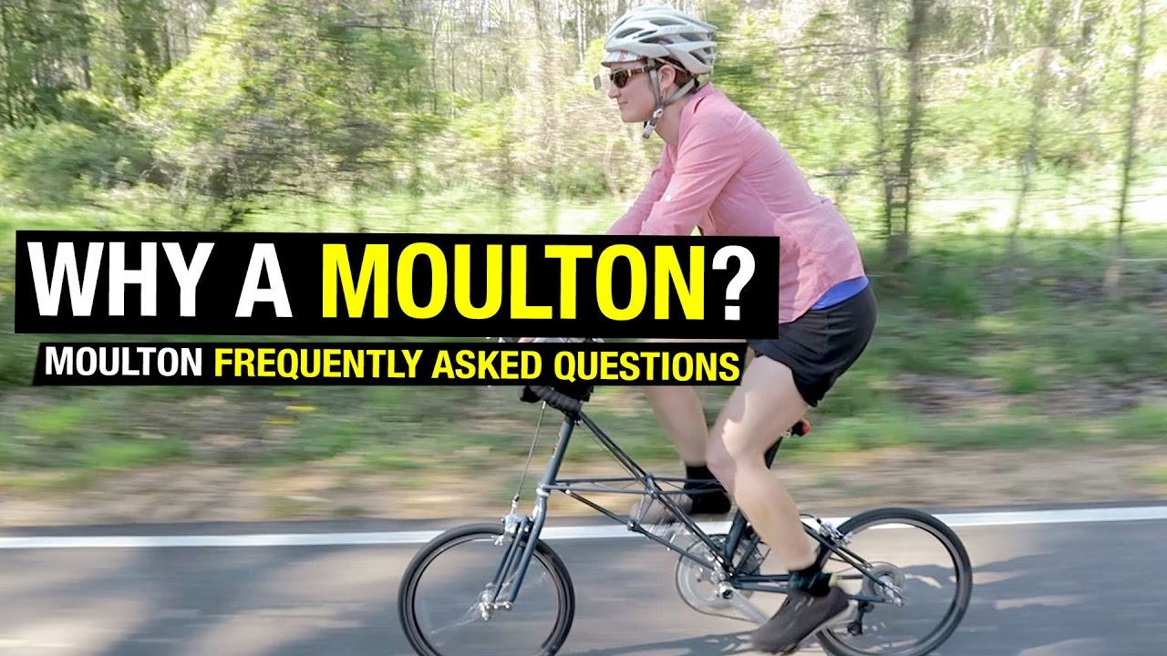 Moulton vs. Brompton?