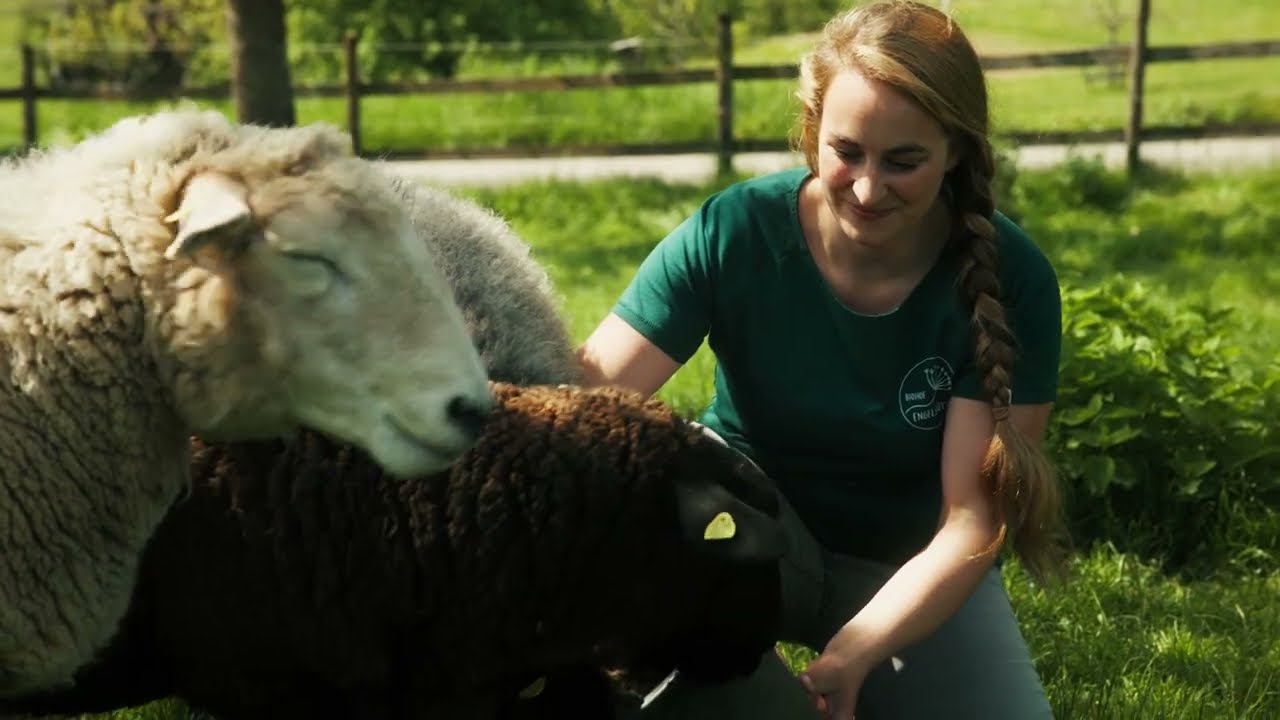 Bien-être des animaux à la ferme biologique Engelsrütti: élevage