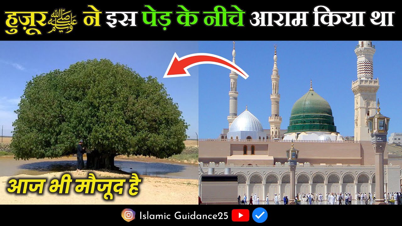 Huzurﷺ Ne Jab Yaha Par Aaram Farmaya | The Blessed Tree | Sahabi Darakht