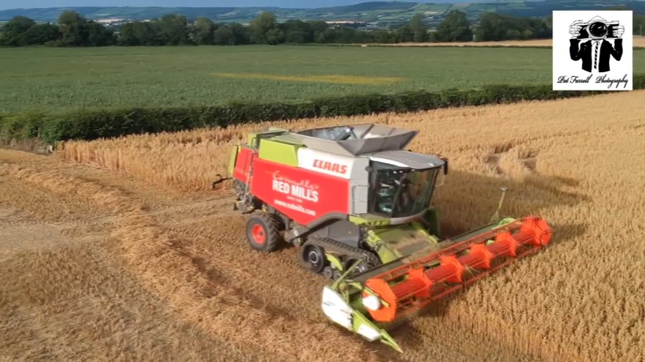 Harvest 2020
