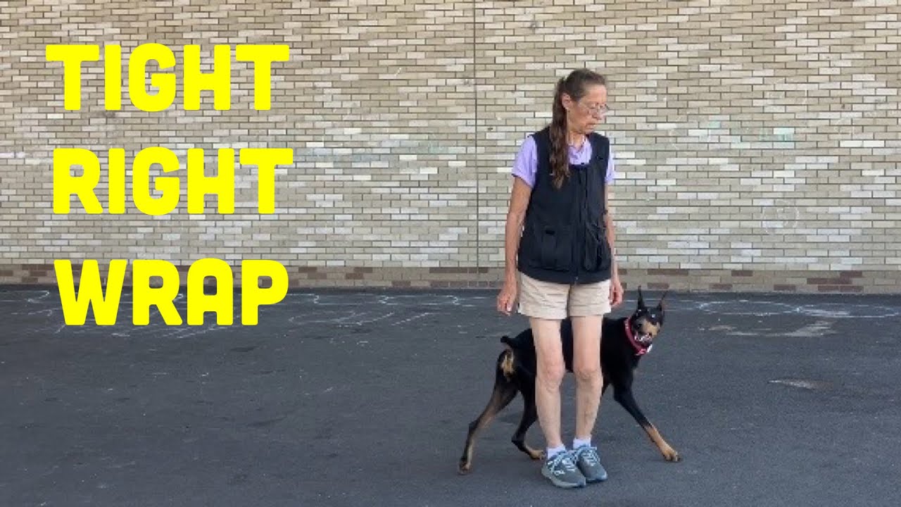 How to Train the Tight Right Wrap for AKC Rally Obedience