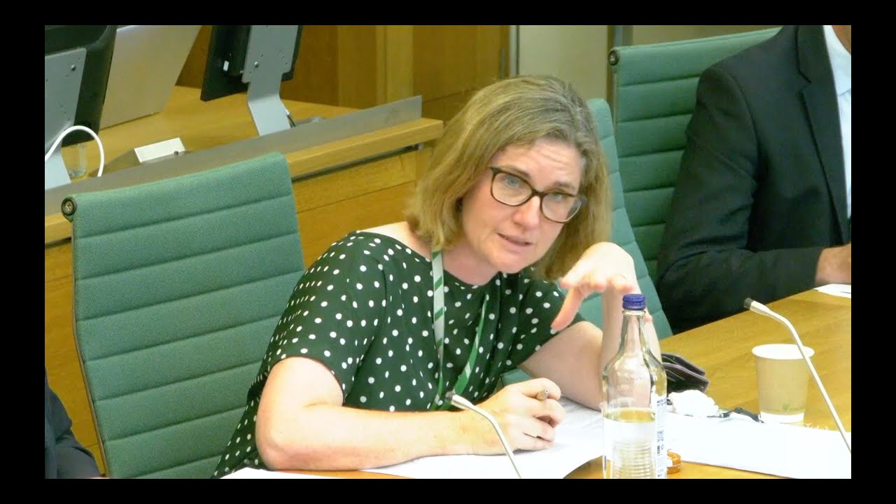Beccy contributes to the Health and Social Care Committee session on Black Maternal Health