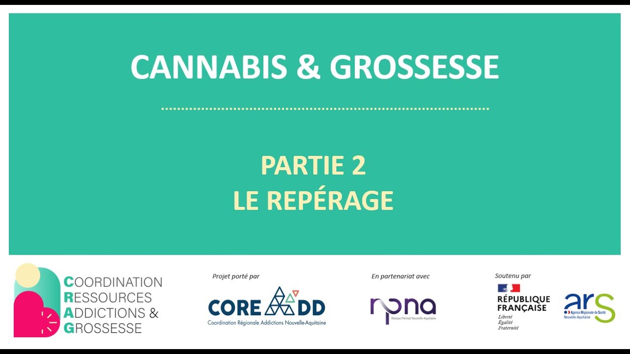 CANNABIS & GROSSESSE | Partie 2 : Le repérage