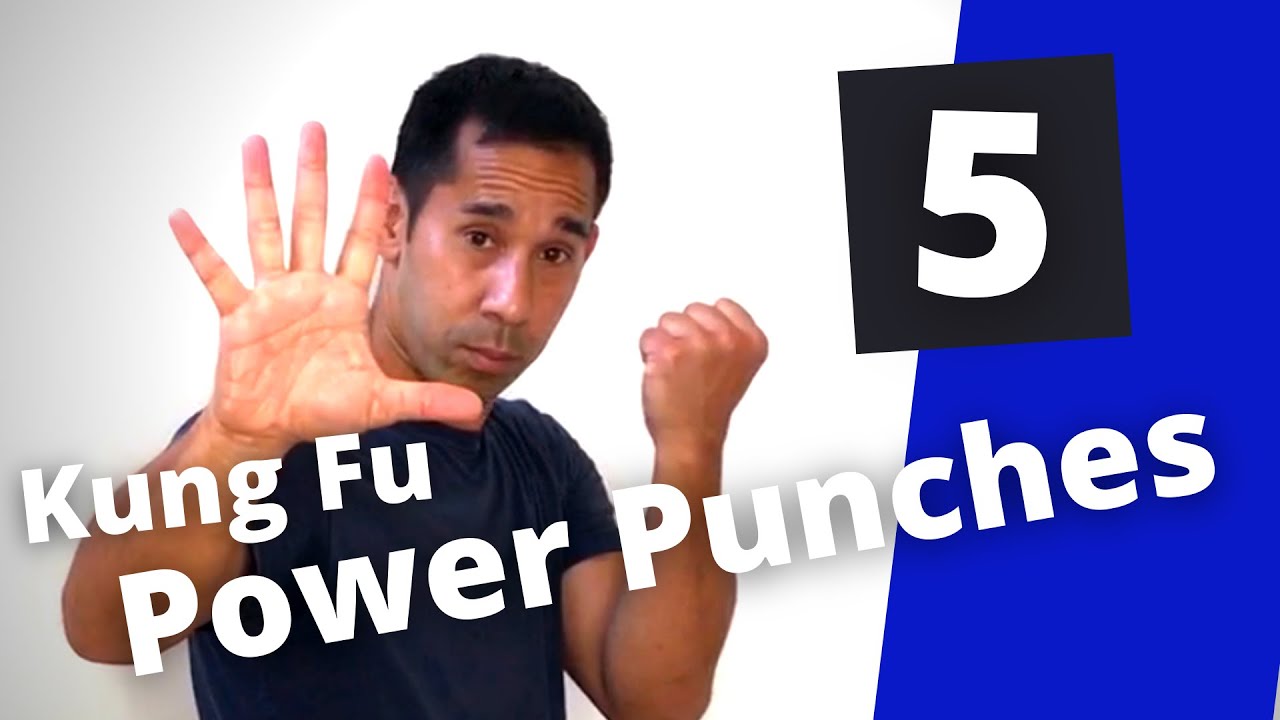 Real Kung Fu training - five power punches | solo martial art training | 5 Element Fist