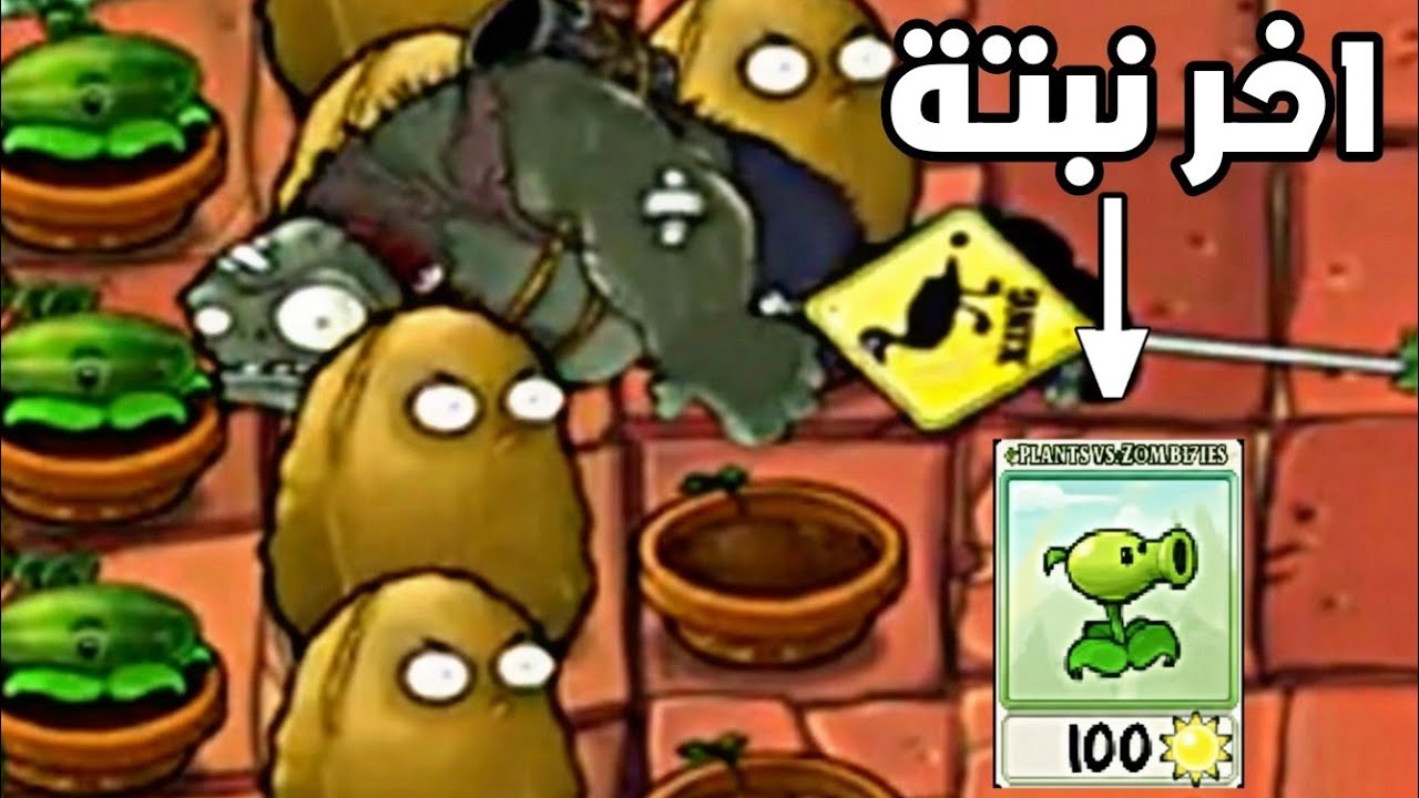 ختمت pvz بالعكس 🤯 البدايه بالبطيخ والنهايه بالبيشوتر !