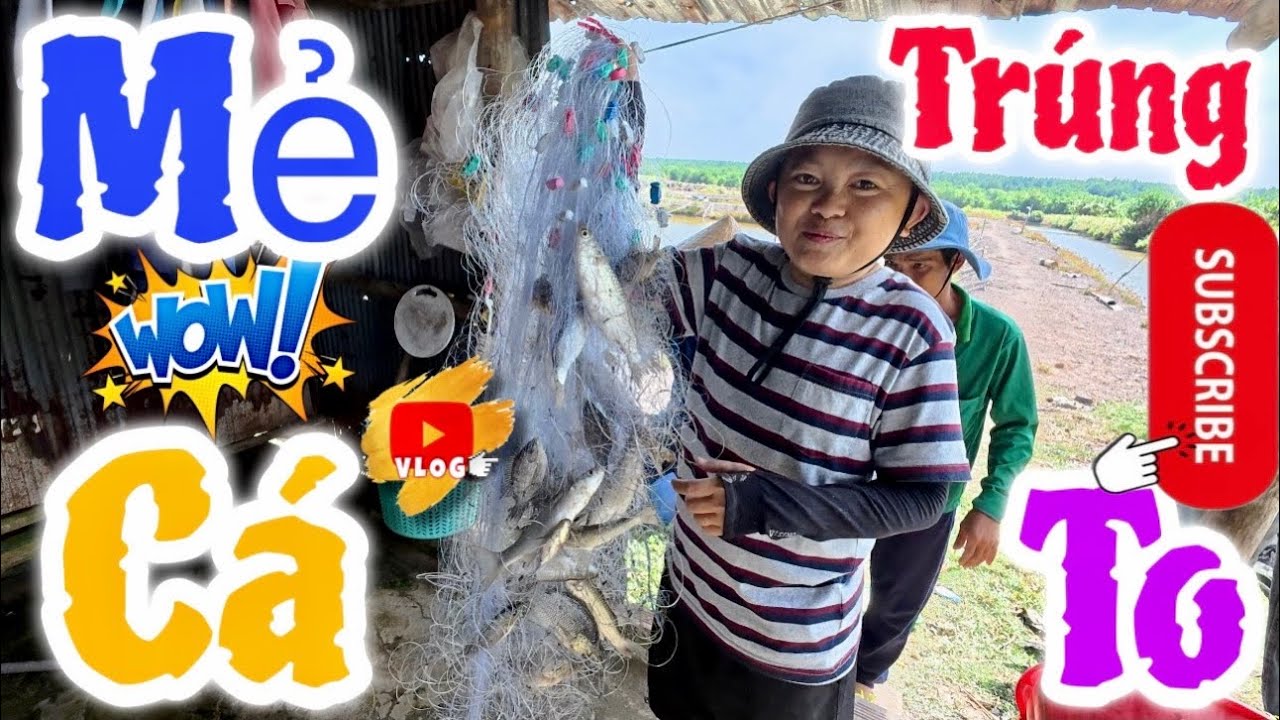 Biệt Đội T&iacute; Hon Ở Nh&agrave; Nướng C&aacute; & Bất Ngờ Với Ba Anh Em Đi Giăng Lưới Về Được Mẻ C&aacute; To || Hải T&iacute; Hon