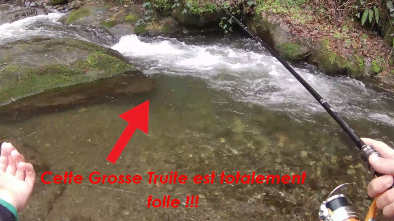 Cette Grosse Truite est Totalement Folle ! / Ouverture Truite 2023 ! #pêche