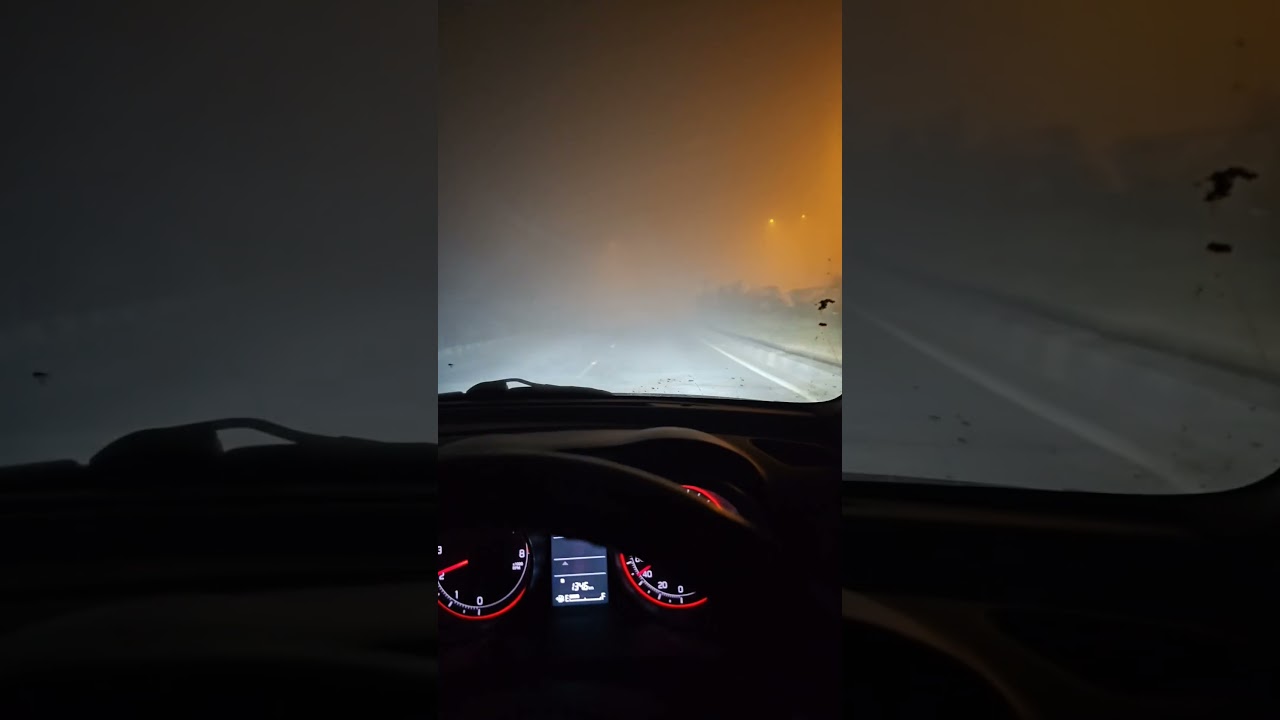 Which one is better in fog LED/halogen bulb 