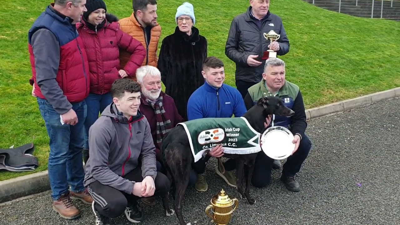 Cool Spirit wins the Irish Cup coursing 2023.