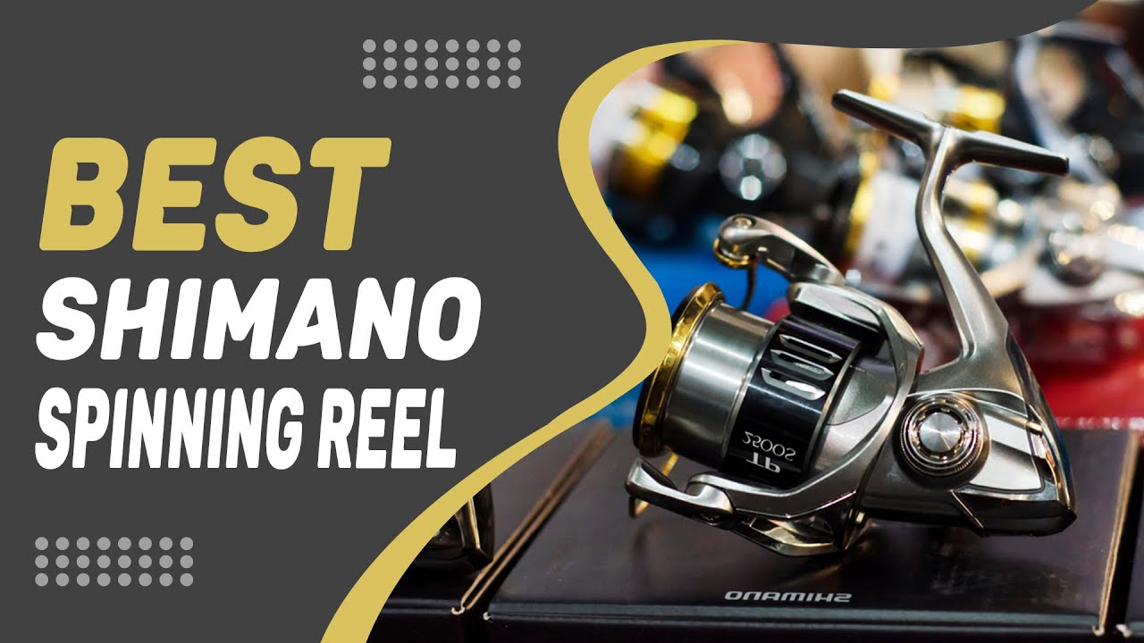 Best Shimano Spinning Reel – Topmost Products Listed!