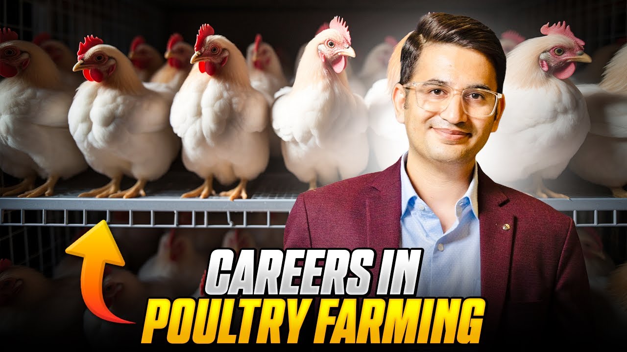 Careers in Poultry Farming for Veterinary Graduates