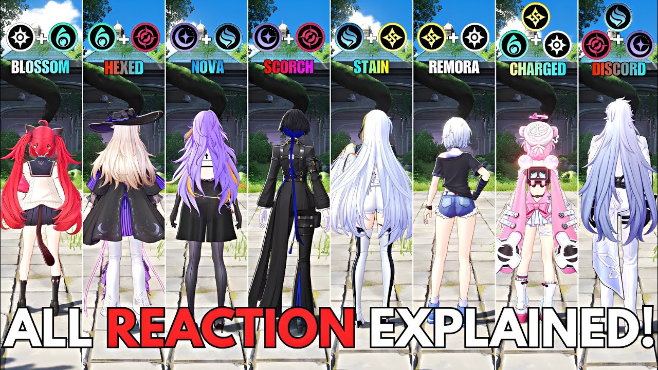 All NTE Reactions Explained! Neverness To Everness All Reactions