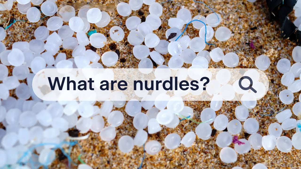 What are nurdles? The plastic pellets threatening marine life