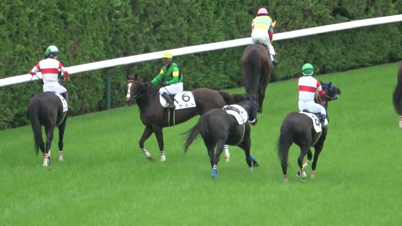 【落馬】【放馬】一人になった馬を厩務員の所まで一緒に帰ってあげる井上敏樹騎手 現地映像 福島競馬 第1R