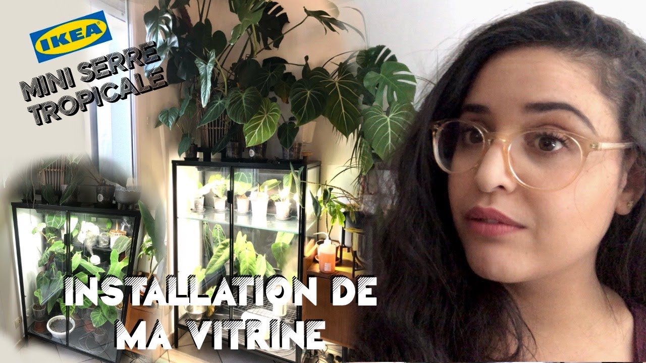 vlog plantes interieur - creer sa serre tropicale IKEA