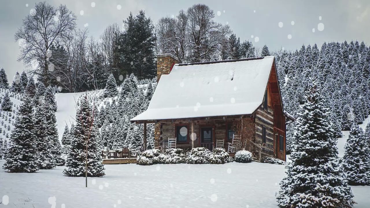 Quiet Winter Cabin in Nature ❄️🌲 | Relaxing Ambient Music