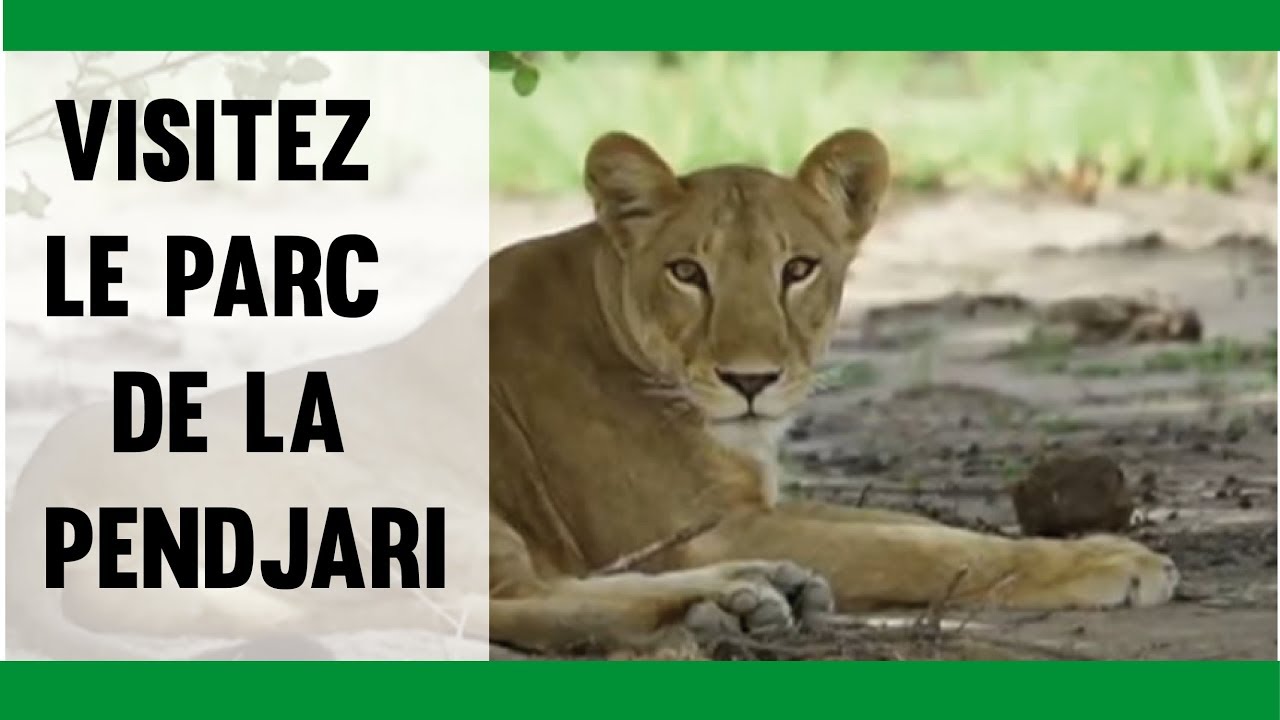 Visitez le parc de la Pendjari