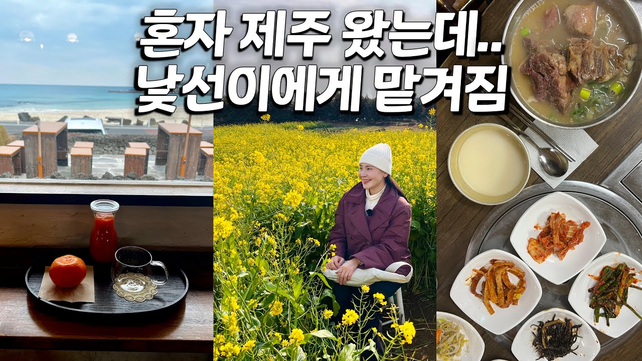 뻔한 제주 말고 현지인과 함께한 진짜 제주를 느낀 시간 🍊나 혼자 제주 여행