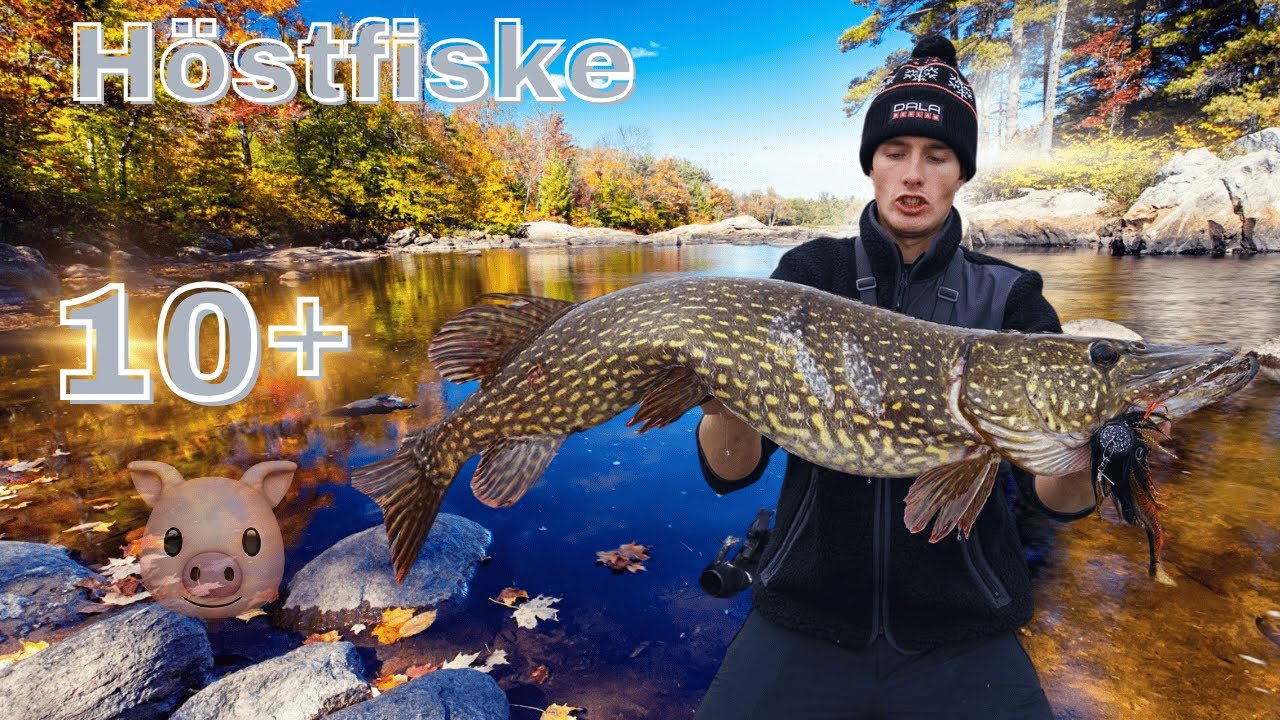 Höstfiske efter stor gädda. Nytt PB?!!