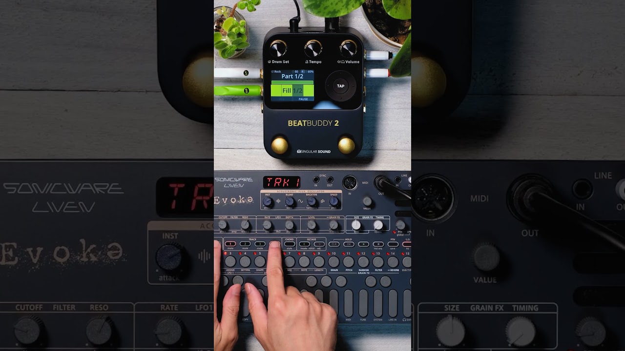 From synth textures to living groove | LIVEN Evoke + BeatBuddy 2　#shorts