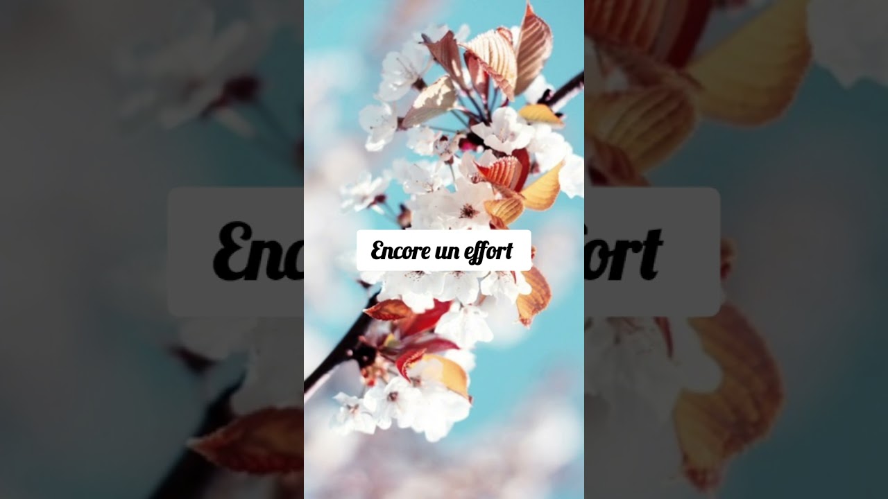 Cantique avec paroles, j'espère encore