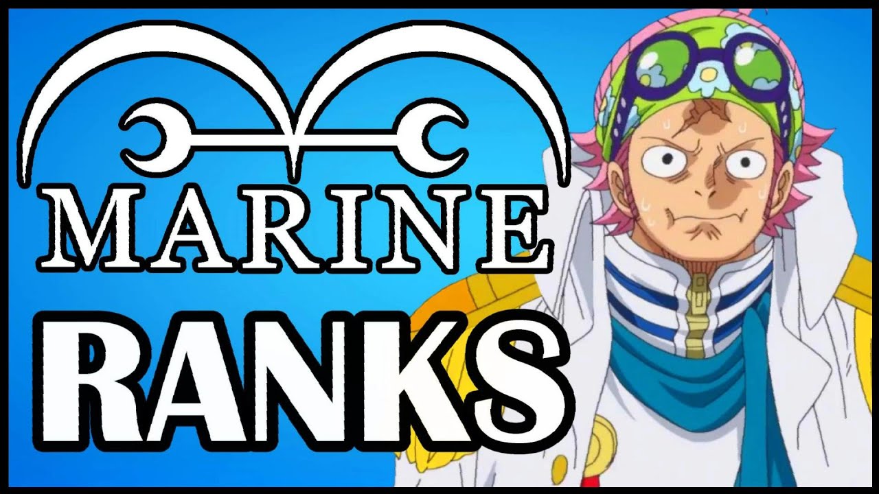 All Marines & Their Ranks!! (New Version) - One Piece Discussion | Tekking101