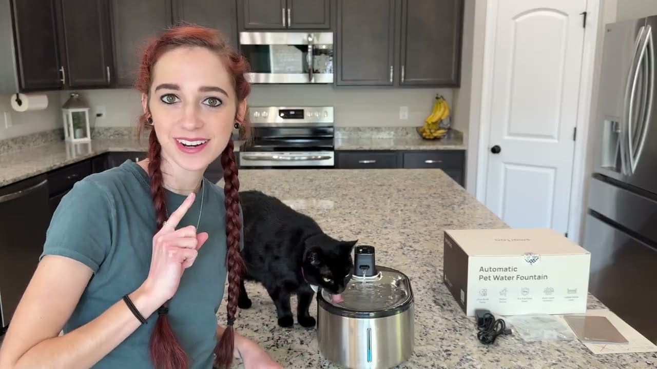 Such A Cool Wireless Cat Water Fountain!