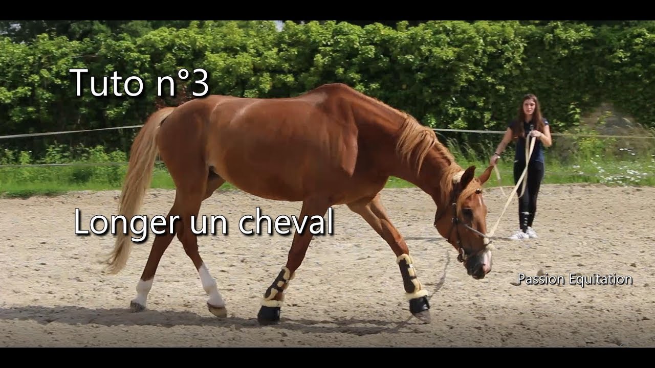 Tuto n°3 - Longer un cheval
